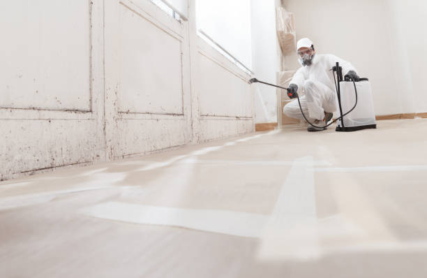24/7 Emergency Mold Remediation experts in Richmond, TX