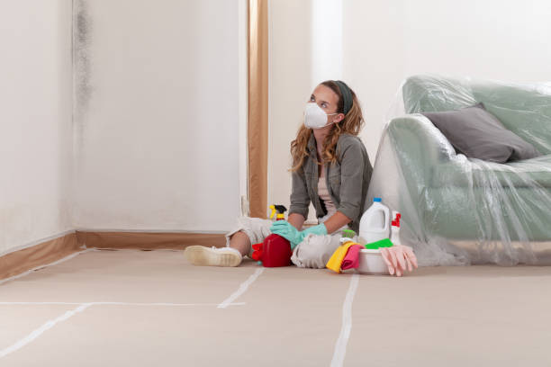 Reliable Mold Remediation contractor in Richmond, TX by Cheap Mold Removal